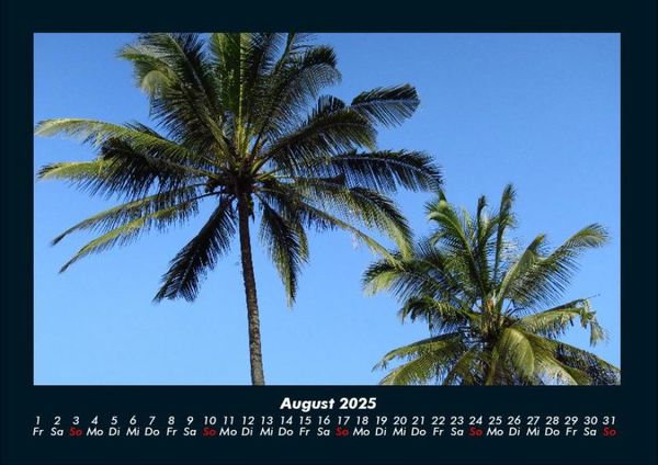 Produktbild: Palmentraum 2025 Fotokalender DIN A4