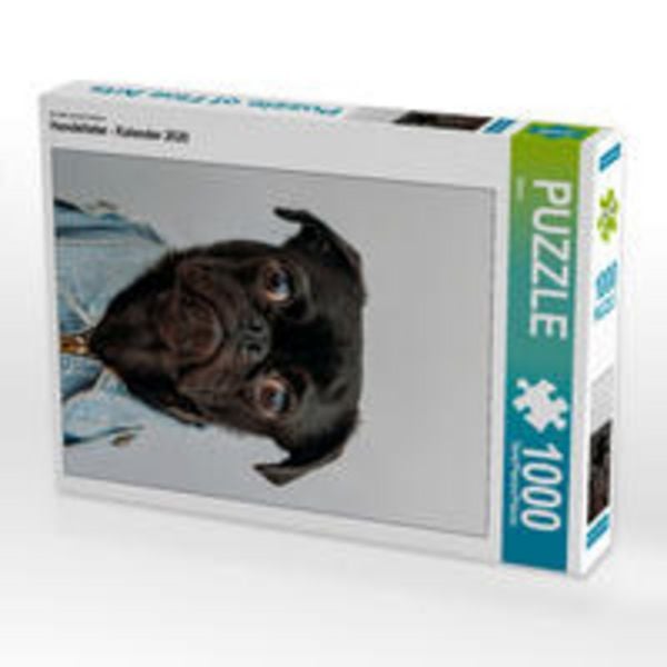 CALVENDO Puzzle Ein Motiv aus dem Kalender Hundeliebe - Kalender 2020 | 1000 Teile Lege-Größe 64x48cm Foto-Puzzle für glückliche Stunden