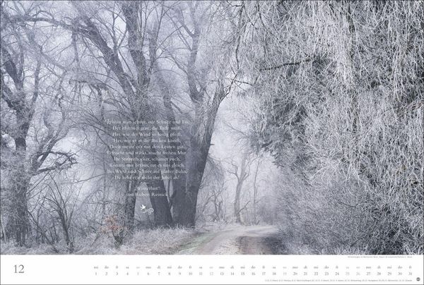 Produktbild: Der deutsche Wald - Ein literarischer Spaziergang Kalender 2027 - Ein literarischer Spaziergang