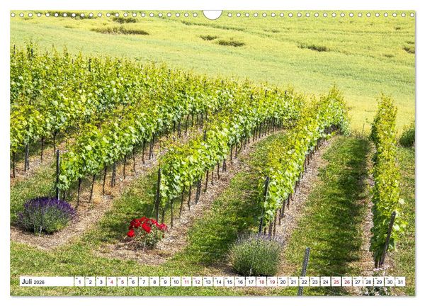 Produktbild: Weinberge um Jena (Wandkalender 2026 DIN A3 quer), CALVENDO Monatskalender