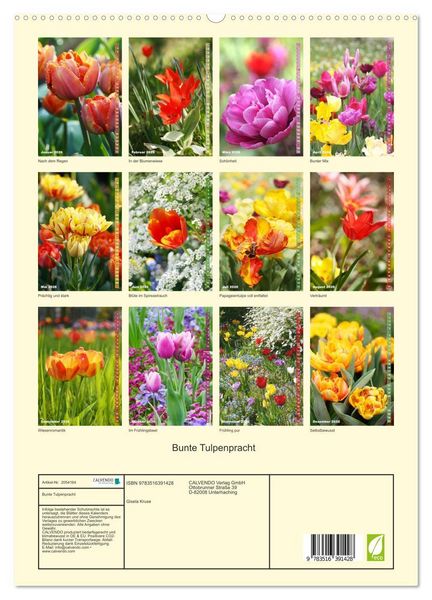 Produktbild: Bunte Tulpenpracht (hochwertiger Premium Wandkalender 2026 DIN A2 hoch), Kunstdruck in Hochglanz