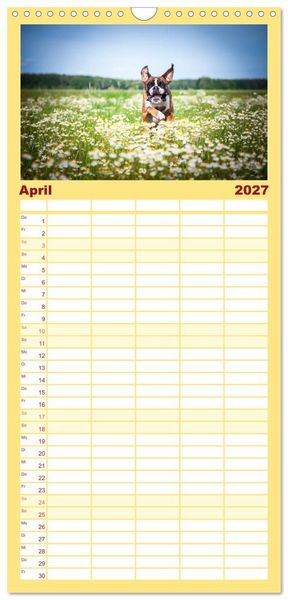 Produktbild: Familienplaner 2027 - Deutscher Boxer mit 5 Spalten (Wandkalender, 21 x 45 cm) CALVENDO