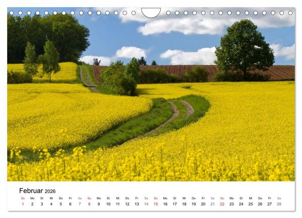 Produktbild: Rapsodie (Wandkalender 2026 DIN A4 quer), CALVENDO Monatskalender