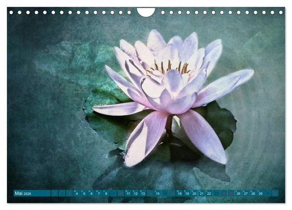 Produktbild: Momente der Stille (Wandkalender 2026 DIN A4 quer), CALVENDO Monatskalender