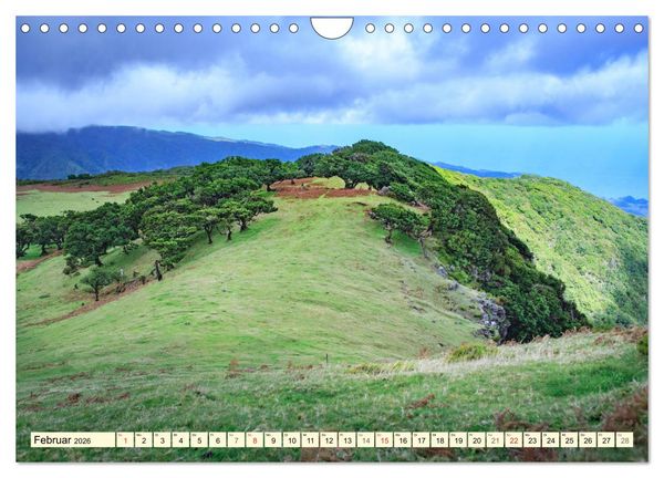 Produktbild: Mystische W&auml;lder - Zauber der Natur (Wandkalender 2026 DIN A4 quer), CALVENDO Monatskalender