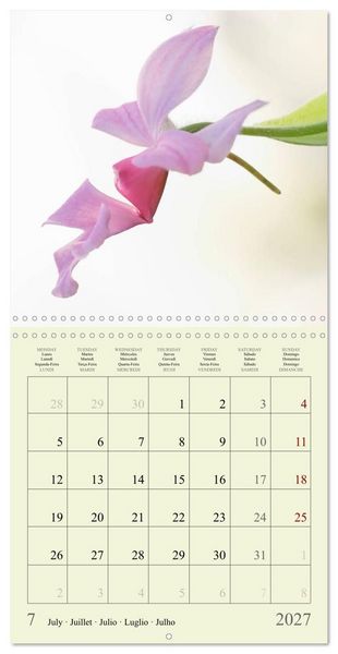 Produktbild: Petites fleurs color&eacute;es (Calendrier mural carr&eacute; 2027 30x30 cm) Calendrier double avec une page pour vos prises de notes