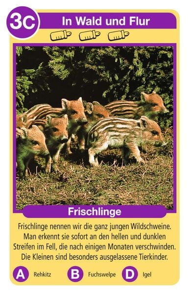 Produktbild: Tierquartett Tierkinder - Kartenspiel ab 4 Jahre