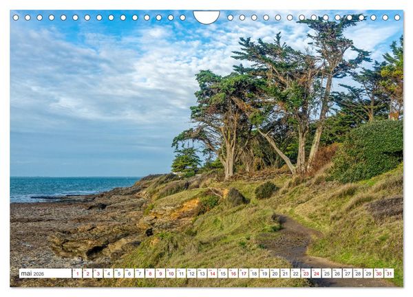 Produktbild: Morbihan, Sud Bretagne (Calendrier mural 2026 DIN A4 vertical), CALVENDO calendrier mensuel