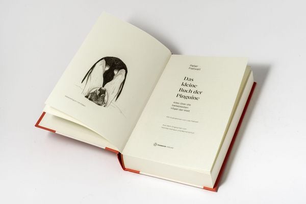 Produktbild: Das kleine Buch der Pinguine