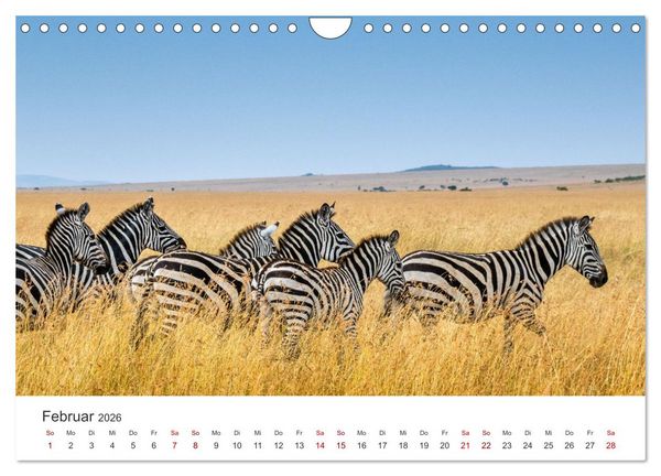 Produktbild: Kenia - Das wundervolle Land in Afrika. (Wandkalender 2026 DIN A4 quer), CALVENDO Monatskalender