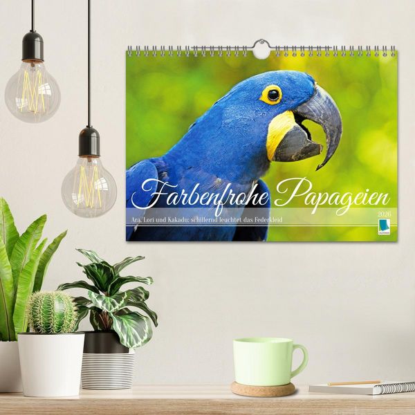 Produktbild: Farbenfrohe Papageien (Wandkalender 2026 DIN A4 quer), CALVENDO Monatskalender