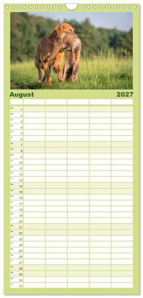 Produktbild: Familienplaner 2027 - Jagdhunde bei der Arbeit mit 5 Spalten (Wandkalender, 21 x 45 cm) CALVENDO