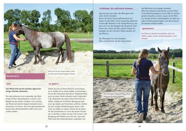 Produktbild: Zirkuslektionen mit Spa&szlig; und System