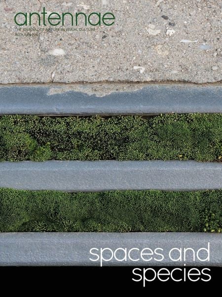 Produktbild: Antennae #56 Spaces and Species
