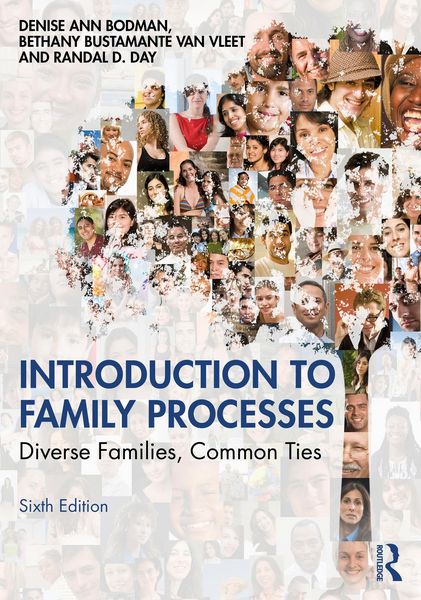 Produktbild: Introduction to Family Processes