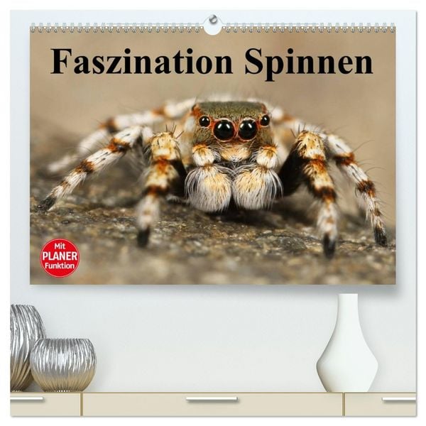 Produktbild: Faszination Spinnen (hochwertiger Premium Wandkalender 2026 DIN A2 quer), Kunstdruck in Hochglanz