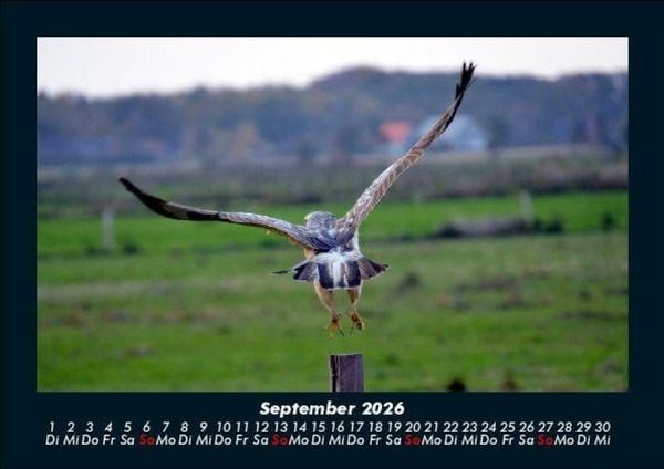Produktbild: Vogelparadies 2026 Fotokalender DIN A5