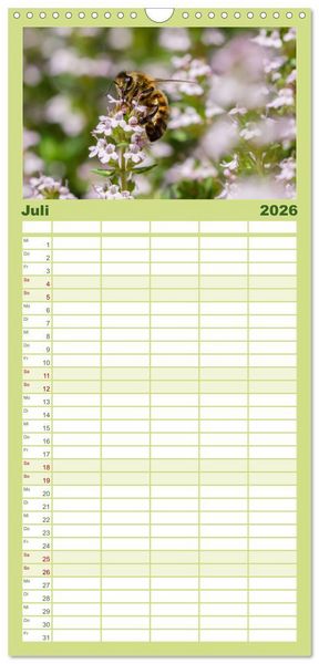 Produktbild: Familienplaner 2026 - Hummeln und Bienen mit 5 Spalten (Wandkalender, 21 x 45 cm) CALVENDO