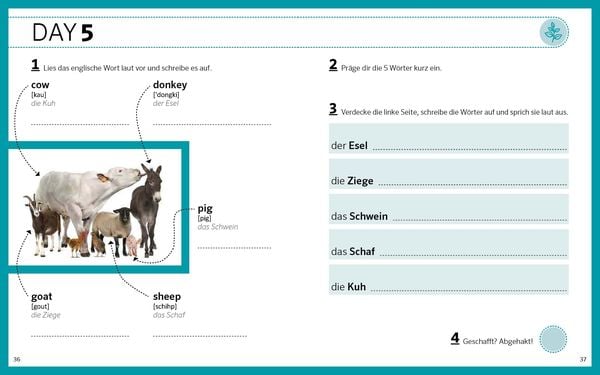 Produktbild: PONS Englisch von 0 auf 500