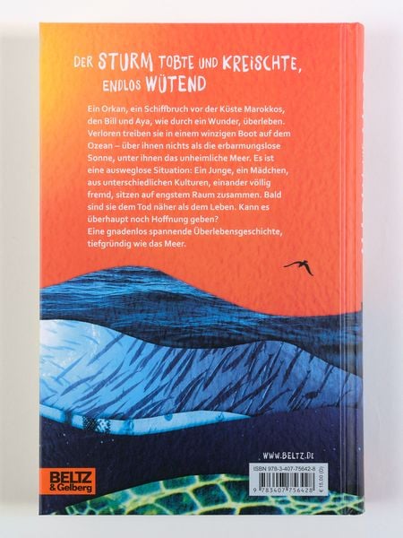 Produktbild: Allein auf dem Meer