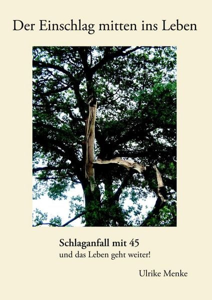 Produktbild: Der Einschlag mitten ins Leben