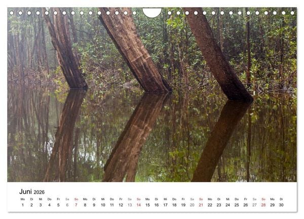Produktbild: Mythos Amazonas - Naturparadies Brasiliens (Wandkalender 2026 DIN A4 quer), CALVENDO Monatskalender
