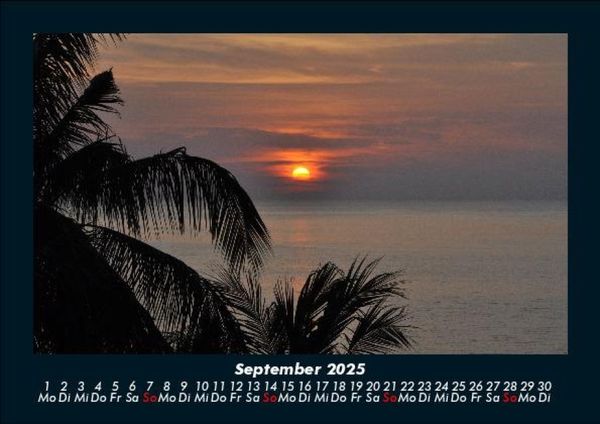 Produktbild: Palmentraum 2025 Fotokalender DIN A5