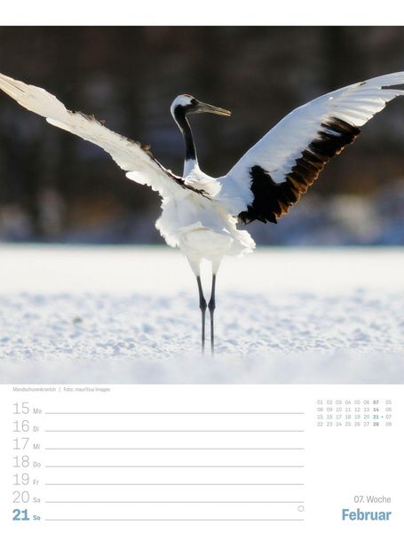 Produktbild: Japan Wochenplaner Kalender 2027 | Das Land der aufgehenden Sonne