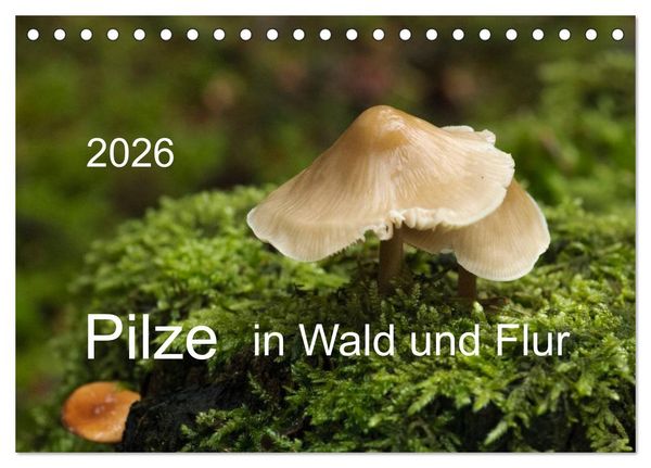 Produktbild: Pilze in Wald und Flur (Tischkalender 2026 DIN A5 quer), CALVENDO Monatskalender