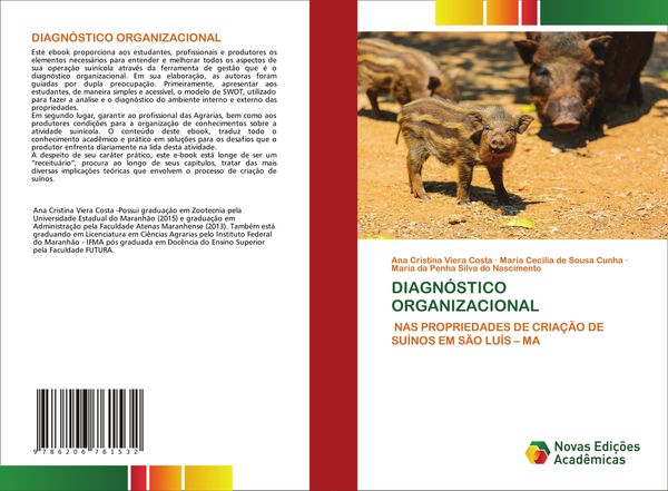 Produktbild: Diagn&oacute;stico Organizacional