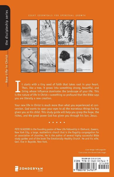 Produktbild: A New Life in Christ