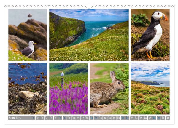 Produktbild: Sehnsucht Wales - Collagen eines Landes (Wandkalender 2026 DIN A3 quer), CALVENDO Monatskalender