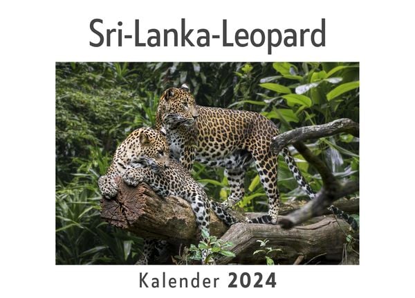 Produktbild: Sri-Lanka-Leopard (Wandkalender 2024, Kalender DIN A4 quer, Monatskalender im Querformat mit Kalendarium, Das perfekte Geschenk)