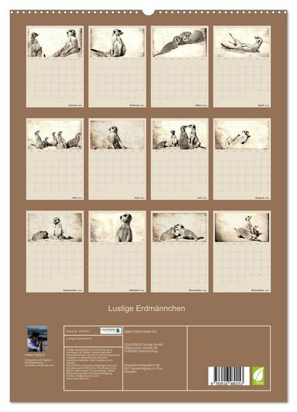 Produktbild: Lustige Erdm&auml;nnchen (hochwertiger Premium Wandkalender 2026 DIN A2 hoch), Kunstdruck in Hochglanz