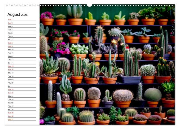 Produktbild: Cacti Wonderland (Wall Calendar 2026 DIN A2 landscape), CALVENDO 12 Month Wall Calendar