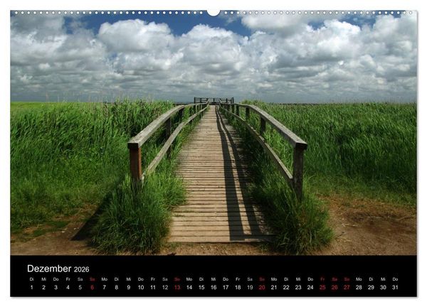 Produktbild: Amrum, Perle der Nordsee (Wandkalender 2026 DIN A2 quer), CALVENDO Monatskalender