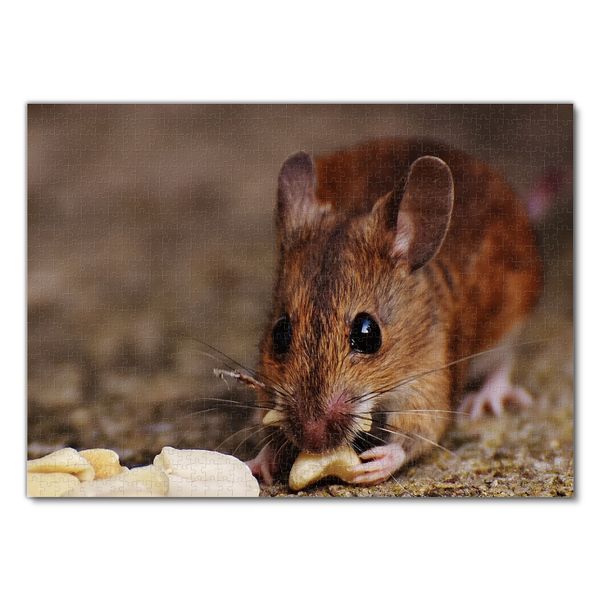 Produktbild: Lais Puzzle Maus 1000 Teile