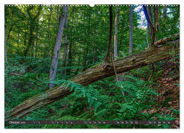 Produktbild: Landschaften unserer Heimat (hochwertiger Premium Wandkalender 2026 DIN A2 quer), Kunstdruck in Hochglanz