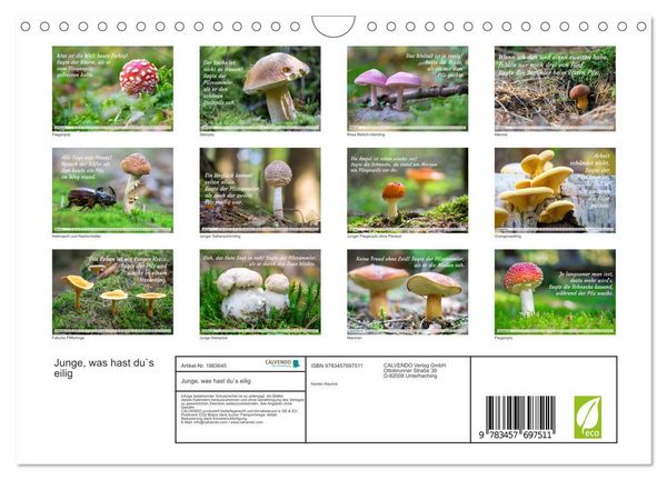Produktbild: Junge, was hast du`s eilig (Wandkalender 2026 DIN A4 quer), CALVENDO Monatskalender