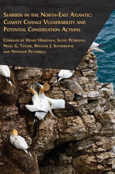 Produktbild: Seabirds in the North-East Atlantic
