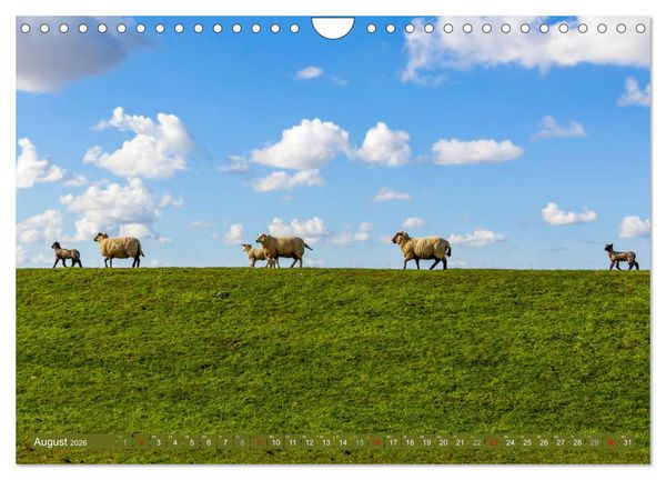 Produktbild: Moin Moormerland (Wandkalender 2026 DIN A4 quer), CALVENDO Monatskalender