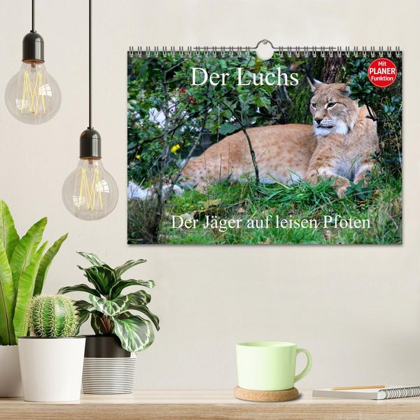 Produktbild: Der Luchs - Der J&auml;ger auf leisen Pfoten (Wandkalender 2026 DIN A4 quer), CALVENDO Monatskalender