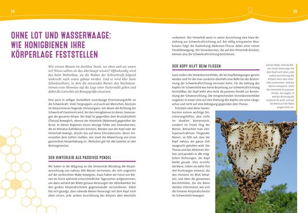 Produktbild: Auch Bienen haben Schwei&szlig;f&uuml;&szlig;e