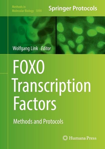 Produktbild: FOXO Transcription Factors