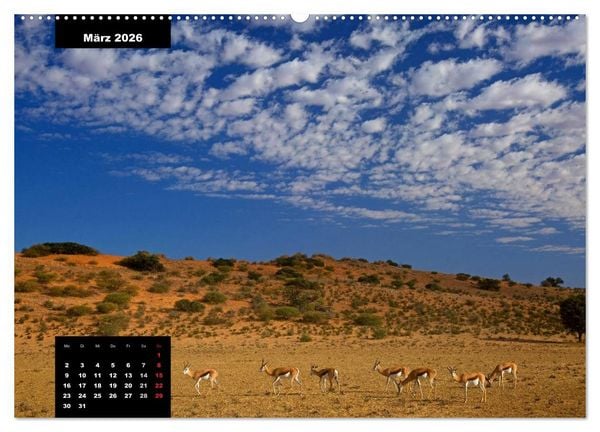 Produktbild: Blickpunkte des S&uuml;dlichen Afrika (hochwertiger Premium Wandkalender 2026 DIN A2 quer), Kunstdruck in Hochglanz