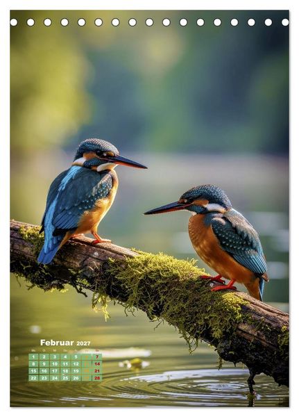 Produktbild: Bunte Eisv&ouml;gel (Tischkalender 2027 DIN A5 hoch), CALVENDO Monatskalender