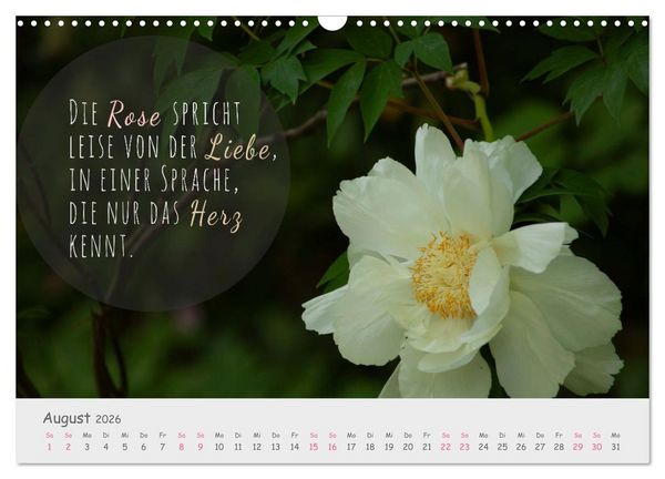 Produktbild: Sanfte Bl&uuml;ten &ndash; leise Worte (Wandkalender 2026 DIN A3 quer), CALVENDO Monatskalender