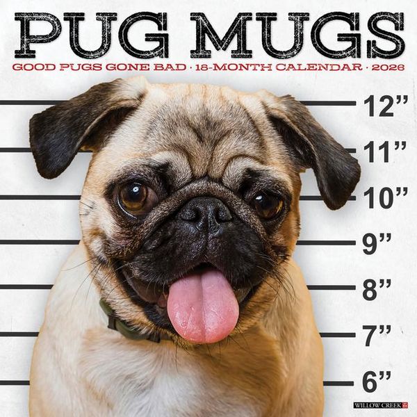 Produktbild: Pug Mugs 2026 12 X 12 Wall Calendar