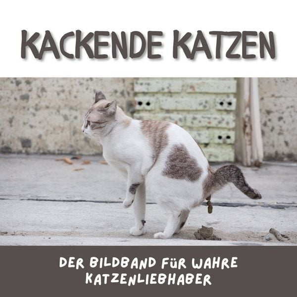 Produktbild: Kackende Katzen