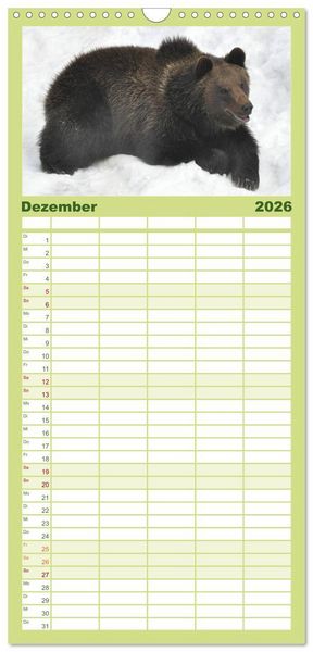 Produktbild: Familienplaner 2026 - Begegnungen DER BRAUNB&Auml;R mit 5 Spalten (Wandkalender, 21 x 45 cm) CALVENDO